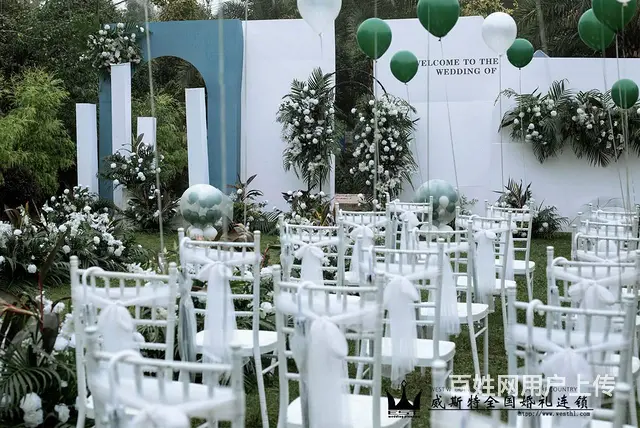 草坪婚礼小清新婚礼 - 图片 1