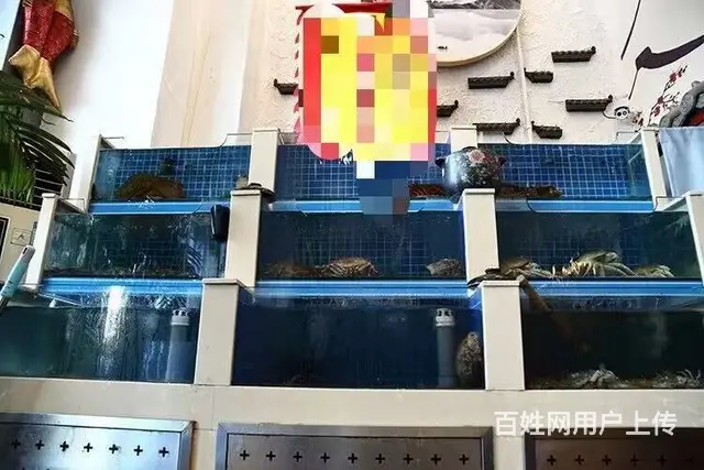泰山路旺地台湾砂锅粥饭店出兑： - 图片 4