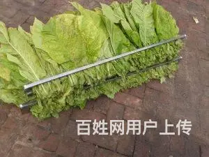 云南批发烤烟烤房不锈钢梳式烟夹 - 图片 4