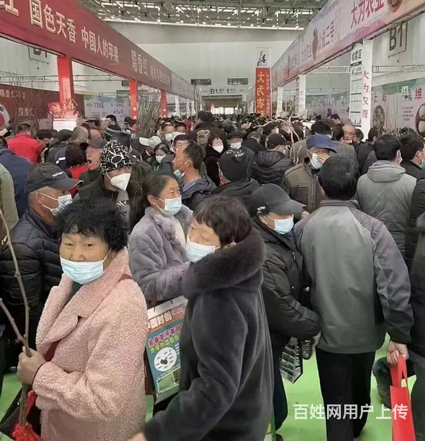 2023年烟台苗木会 - 图片