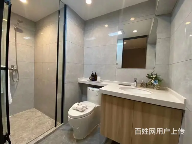 手付2W起新北恐龙园龙湖天街迪诺水镇旁复试挑高即买即用手慢无 - 图片 7