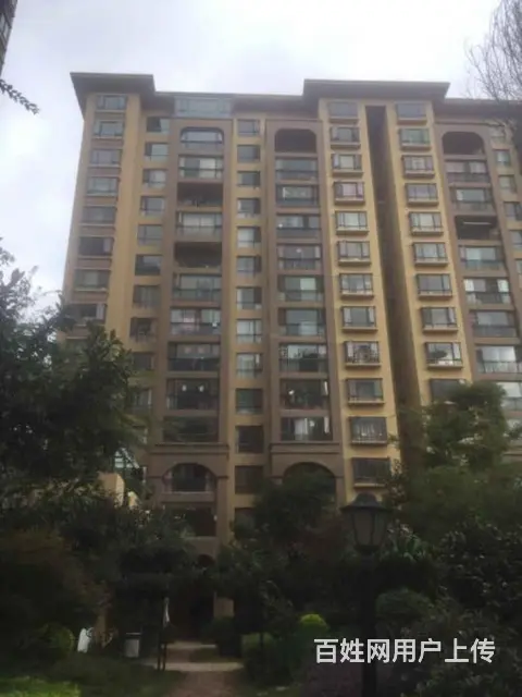 星耀地铁旁 奥宸橙郡 2房精装修 跃层 带家具家电 - 图片 6