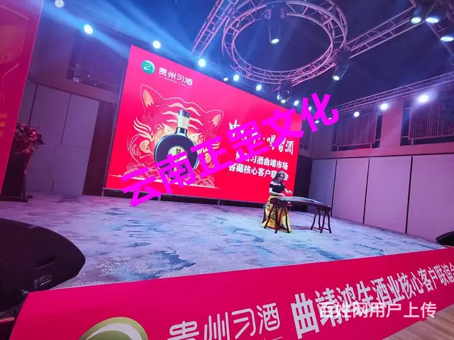 舞台搭建、灯光音响、LED屏、桌椅租赁、演出节目 - 图片 6