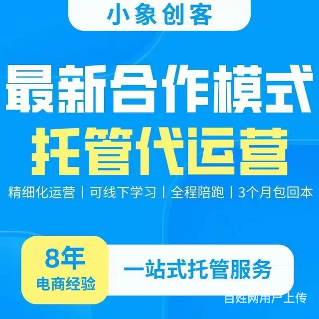 拼多多店群创业加盟，精细化铺货自然流量不开车不推广 - 图片