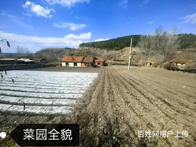 猪舍/养猪场/养殖场/出售 - 图片 1