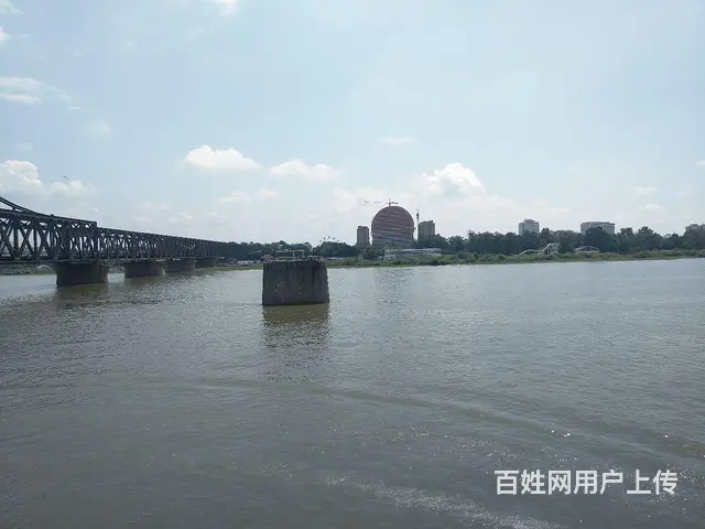 征婚 - 图片