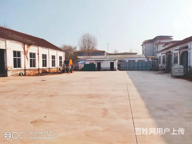 (玖玖)周村萌水镇独院厂房仓库出租 - 图片 5