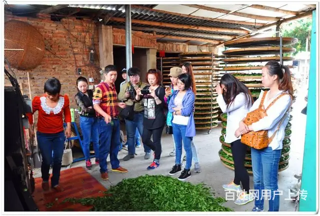 哪里有茶艺培训班，天晟茶艺培训学校答深圳茶艺师培训 - 图片 4
