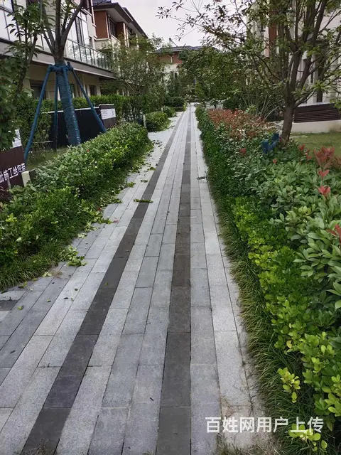 苏州地区园林绿化，修剪服务，专业户外绿化施工养护 - 图片 4