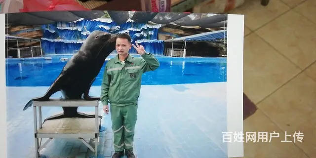 带桂林市区房产证相亲 非诚勿扰 - 图片 2