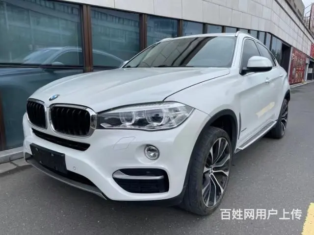 宝马 宝马X6 2015款 X6 xDrive35i 3.0 - 图片 8