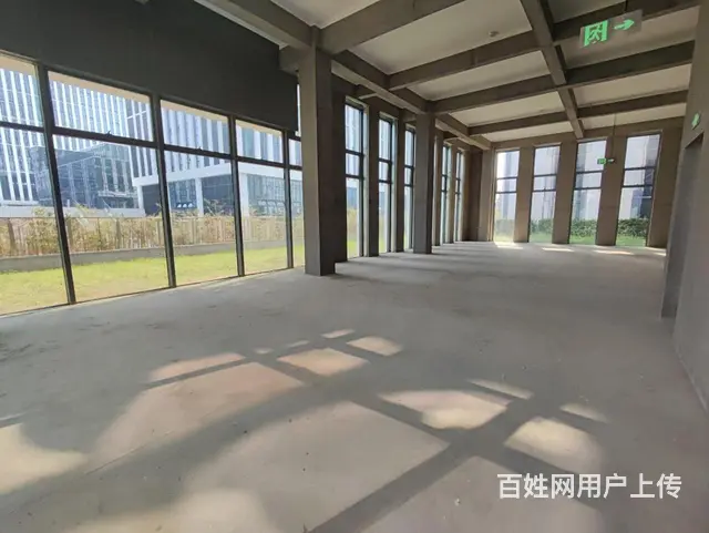 富春中国安谷花园独栋1100方2000方精装送大院子仅剩6栋 - 图片 9