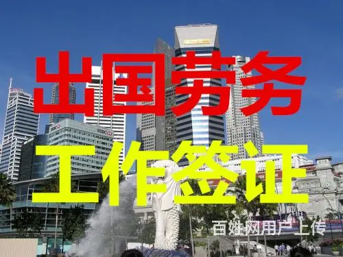 澳洲一年收入一50万一待遇好一华人企业一保签 - 图片 2