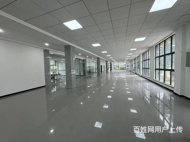 （徐州找店网）金山桥金港路高标准厂房出租 - 图片 6