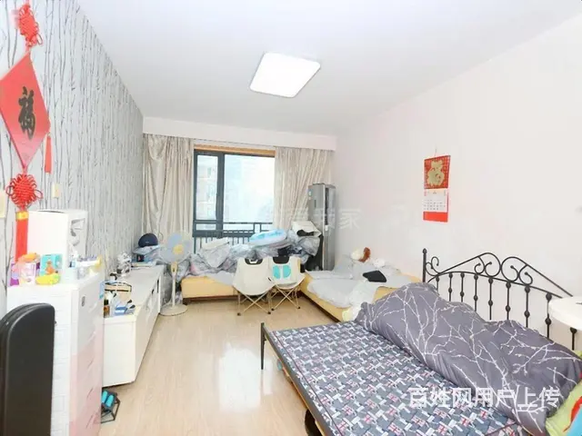 倾城之恋，滨江区政府，标准两房，小区中间 - 图片 3