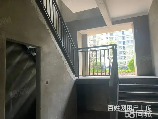 儒辰青檀府 - 图片 4