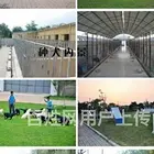 【同城推荐】肇庆四会大型犬舍出售萨摩耶 纯种健康