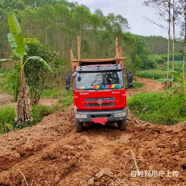 【搞定了！】东风柳汽 乘龙M3 自卸车 国4 - 图片 1