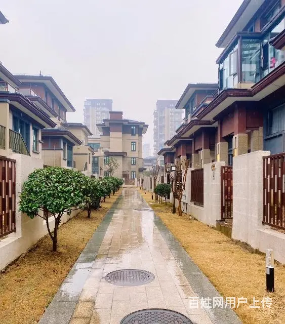 固始天玺和园双拼别墅出售 - 图片 2