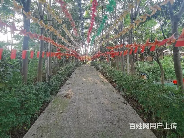 旺铺居）房东直租农家小院环境优美位置优越交通方便 - 图片 7