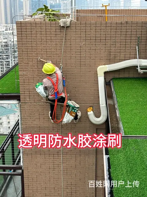 寻找一名女性 - 图片 3