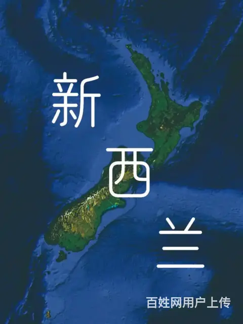 新西兰企业所得税 - 图片
