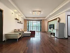 海晟棕蓝海 大平层，新上，双阳台地铁口 南湖公园旁