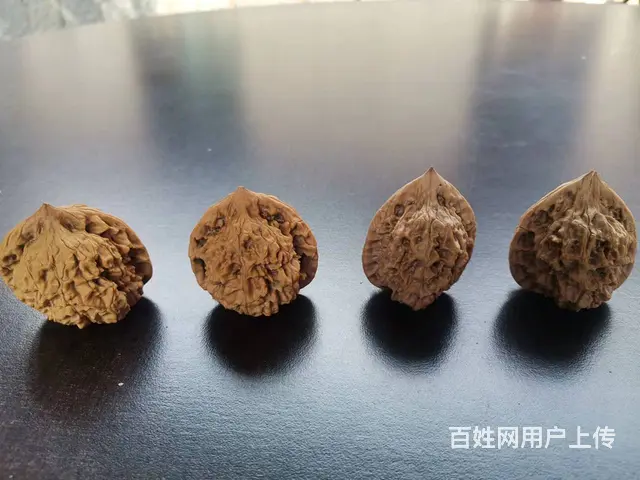 文玩核桃 - 图片 2