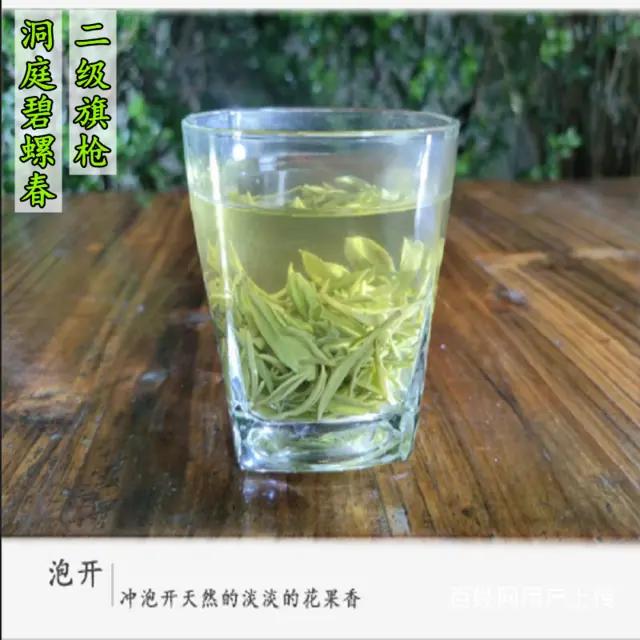 三级碧螺 . 苏州东山碧螺春茶叶正宗洞庭碧螺春绿茶 - 图片 3