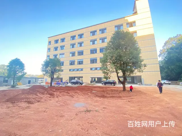 （房东直租）浏阳淳口镇大型商铺，厂房，仓库招租，可分租 - 图片 5
