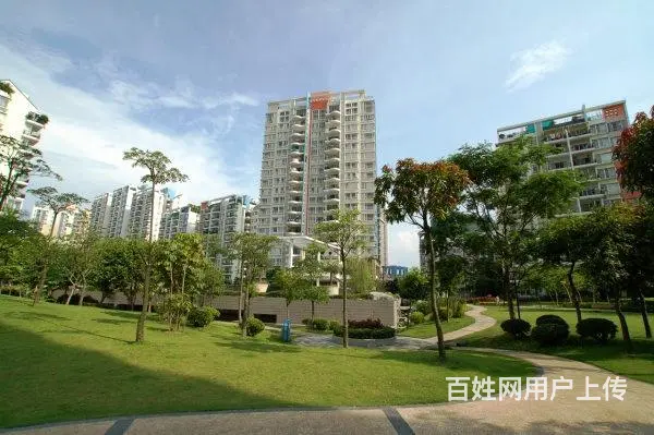 白天鹅花园 朝花园 向重逢中去寻你 一丝丝暖在心底 - 图片 11