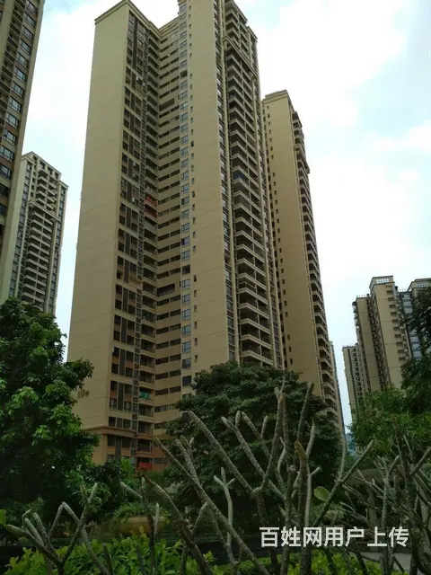 业主急售  新装修 君临世纪 32小 价格可以商量 - 图片 10