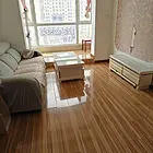 太阳海楼房出租