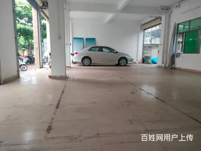 （51旺铺推荐）海府礼贤路300多平三门铺面招租 - 图片 3