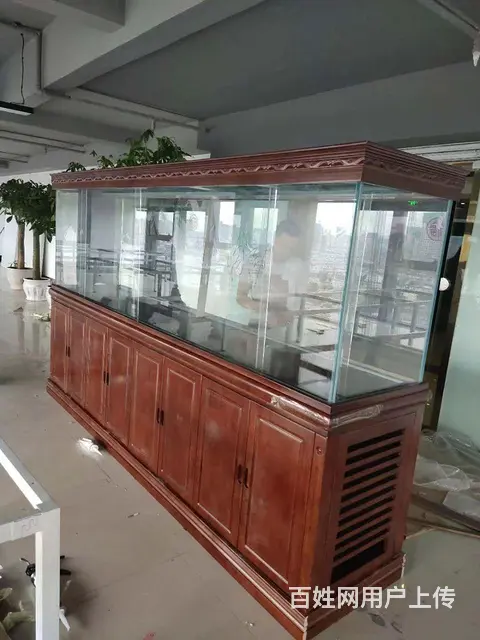 鱼缸定制，鱼池设计建造 - 图片 4