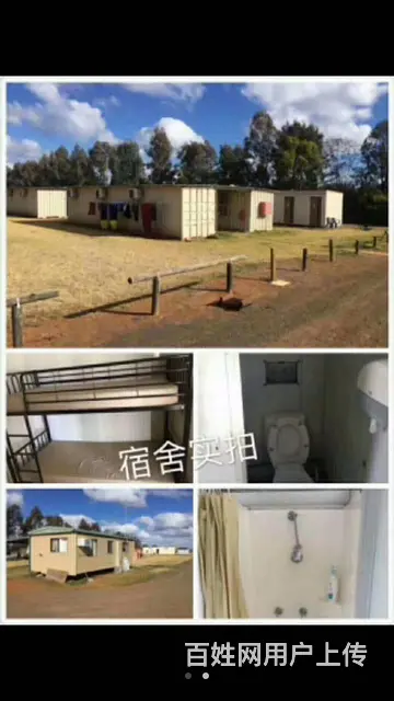 吉林松原资质公司招木工瓦工水电工电焊工铲车司机包吃 - 图片 4