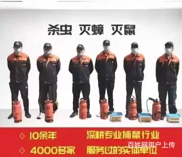 专业上门除虫公司 除四害 灭蟑螂 灭鼠 灭蚊蝇 - 图片 1