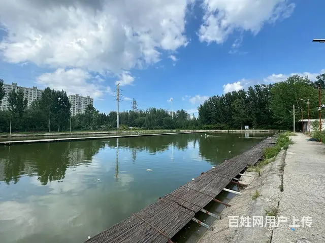（徐州找店网）东区营业中鱼塘转让 - 图片 2
