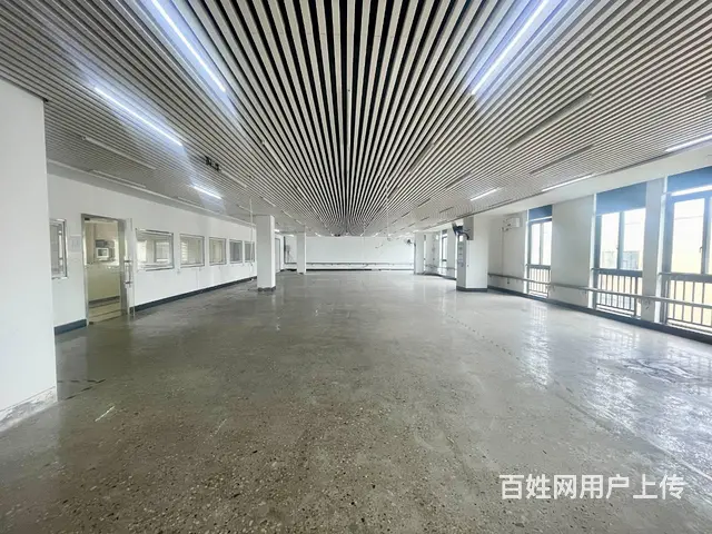 （老板本人）雨花区国际创新城临街办公楼厂房出租  6527 - 图片 9