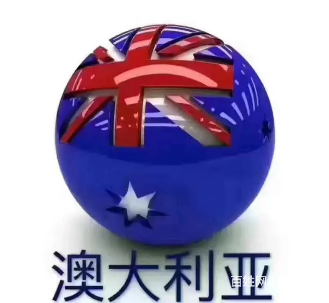 澳大利亚 新西兰 英国（工签）保签年薪50万以上 - 图片 4