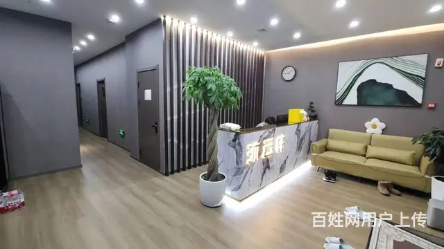 铁西云峰旺地精装养生spa出兑： - 图片 7