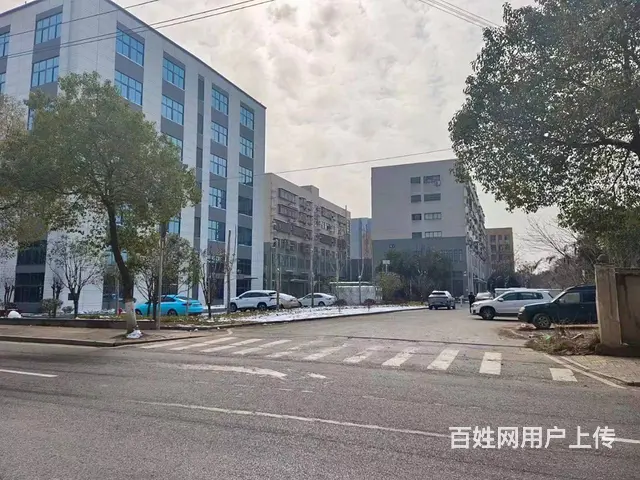 （老板本人）开福区佳海工业园全新厂房房东直租6841 - 图片 3