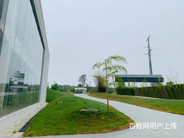 孟津产业园区，满足各种需求，一站式管家服务，高挑高，柱距8米 - 图片 6