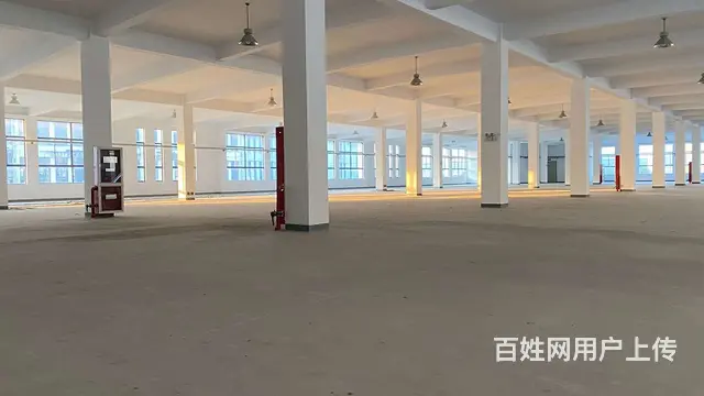 开发商独门独院厂房出售 面积1千到1W平 - 图片 2