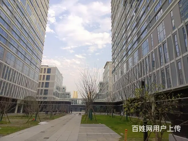众安明彩城地铁口层高5米有上下水300方680方1200独栋 - 图片 7