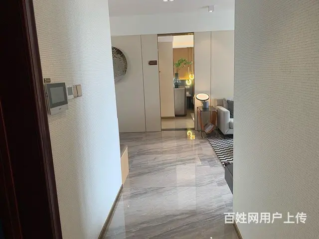 南京都市圈！紧邻江北湖景房！轻轨口 来电送全套家电 车位 - 图片 4