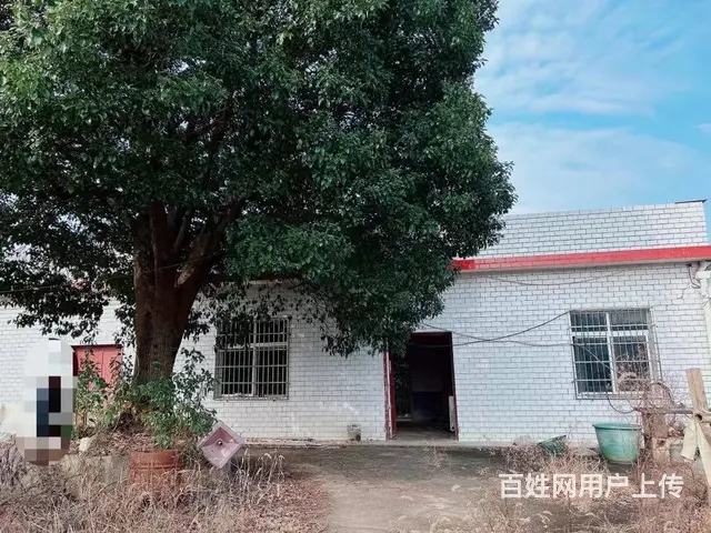 （老板本人）黄花镇独门独院厂房/仓库优价出租  5851 - 图片 12