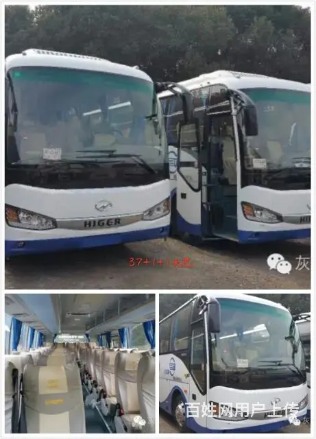 苏州大客-中巴-丰田考斯特-别克商务，旅游包车等 - 图片 11