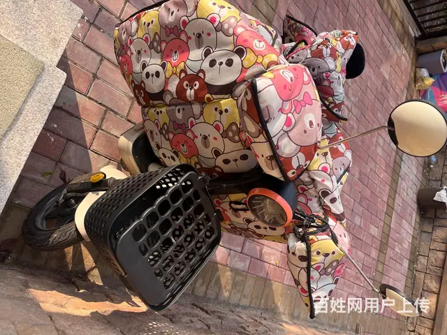 【搞定了！】爱玛电动车 - 图片 1