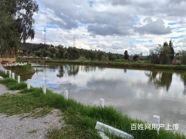4251（爆铺网）50亩露营地转让(租金5万一年) - 图片 5
